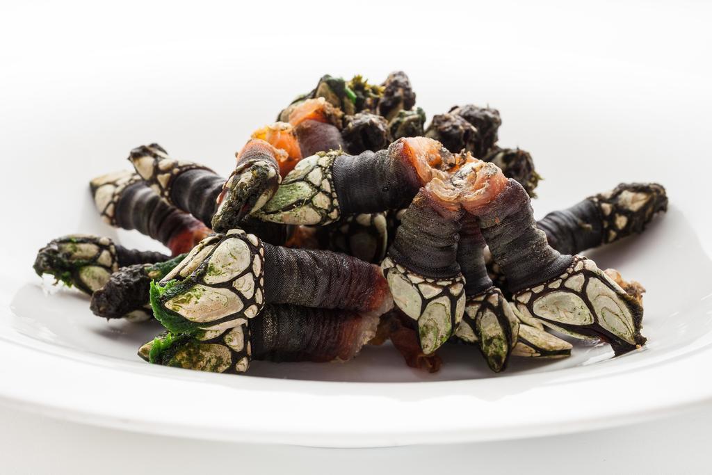 Hotel Restaurante Cabo Vidio Oviñana Eksteriør bilde